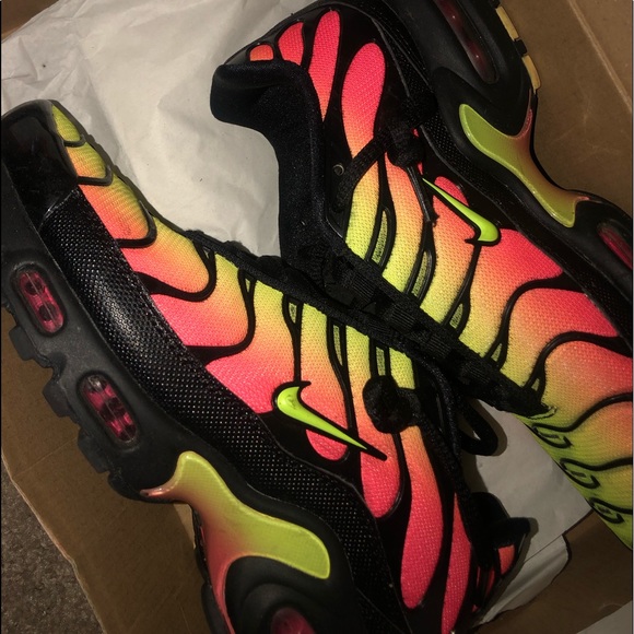 Air Max Plus - Picture 1 of 1